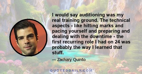 I would say auditioning was my real training ground. The technical aspects - like hitting marks and pacing yourself and preparing and dealing with the downtime - the first recurring role I had on 24 was probably the way 