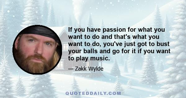 If you have passion for what you want to do and that's what you want to do, you've just got to bust your balls and go for it if you want to play music.