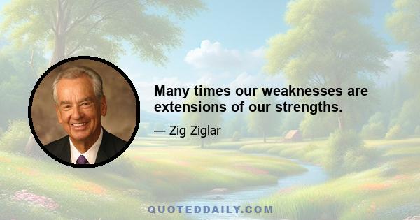 Many times our weaknesses are extensions of our strengths.