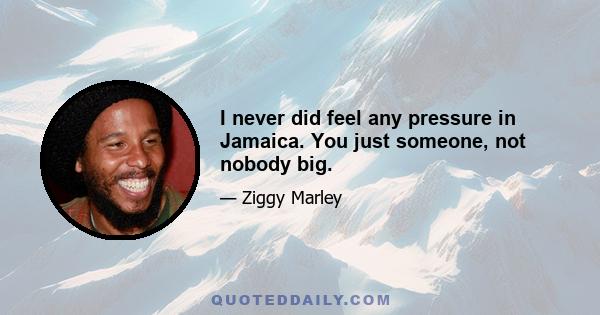 I never did feel any pressure in Jamaica. You just someone, not nobody big.