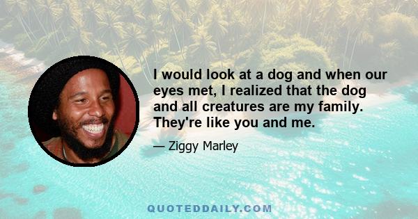 I would look at a dog and when our eyes met, I realized that the dog and all creatures are my family. They're like you and me.