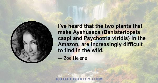 I've heard that the two plants that make Ayahuasca (Banisteriopsis caapi and Psychotria viridis) in the Amazon, are increasingly difficult to find in the wild.