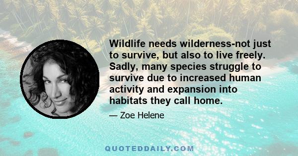 Wildlife needs wilderness-not just to survive, but also to live freely. Sadly, many species struggle to survive due to increased human activity and expansion into habitats they call home.