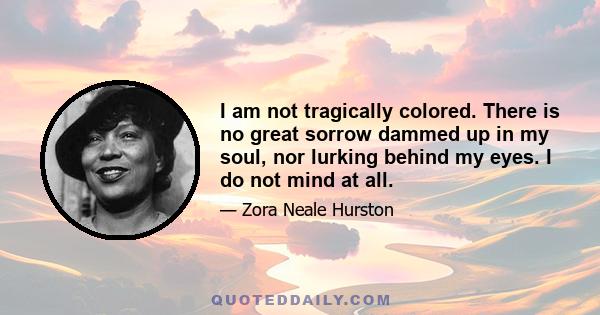 I am not tragically colored. There is no great sorrow dammed up in my soul, nor lurking behind my eyes. I do not mind at all.